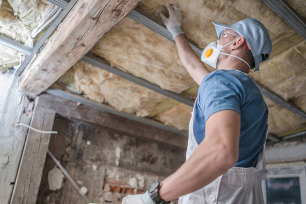 Best Cellulose Insulation in St John, MO