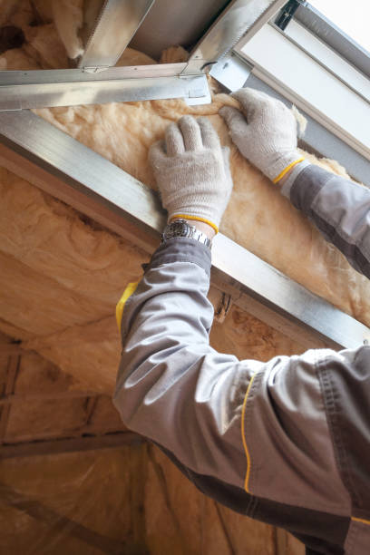 Best Specialized Insulation Services in St John, MO
