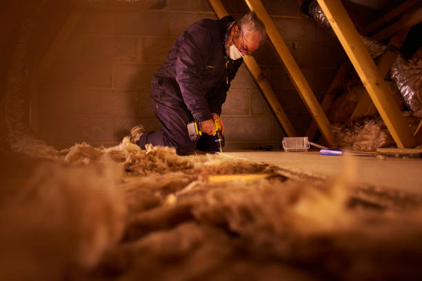 Best Commercial Insulation in St John, MO
